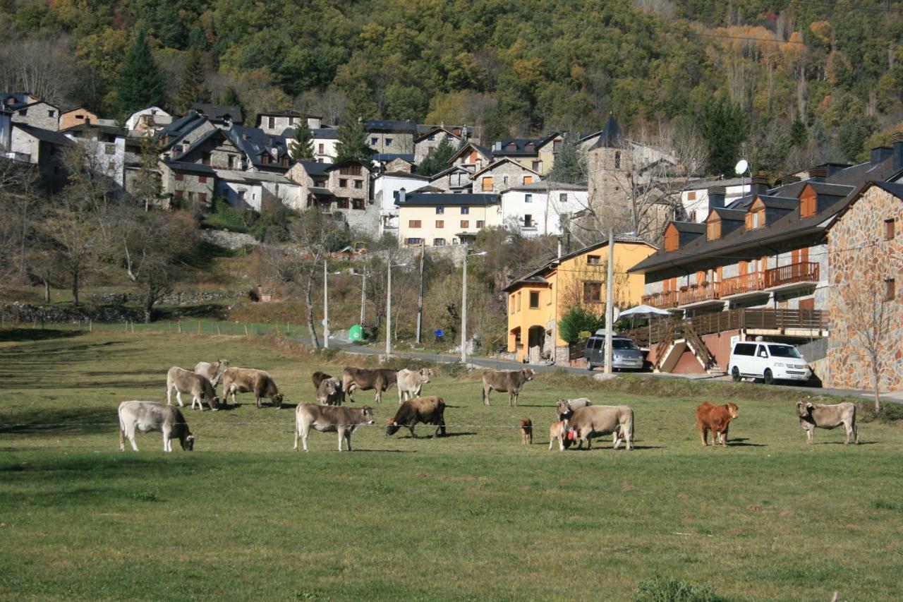 Esera Dos Catedrales Apartman Villanova Kültér fotó